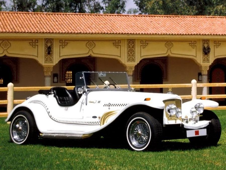  CANAM Menara II Roadster 2002 года  (фото 3 из 4)